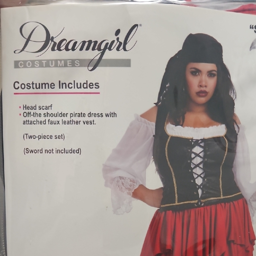 Plus Size Pirate Costume - Never Worn